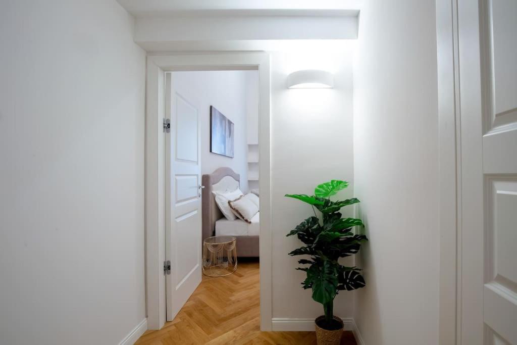 Dimora Nuvola Apartament Floransa Dış mekan fotoğraf